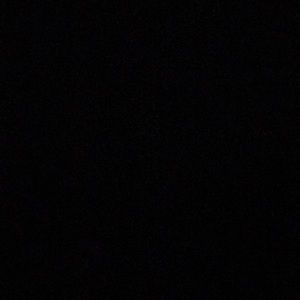 Meet your Posher, Louie